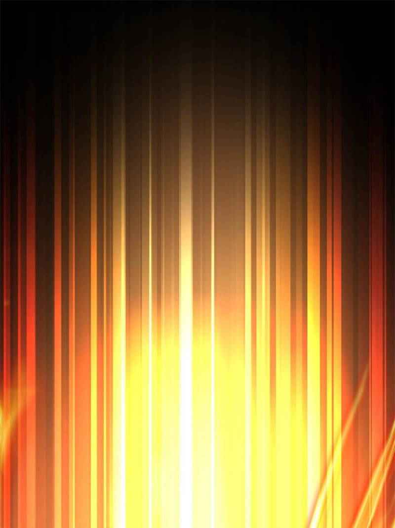Page 17 of Chapter 88