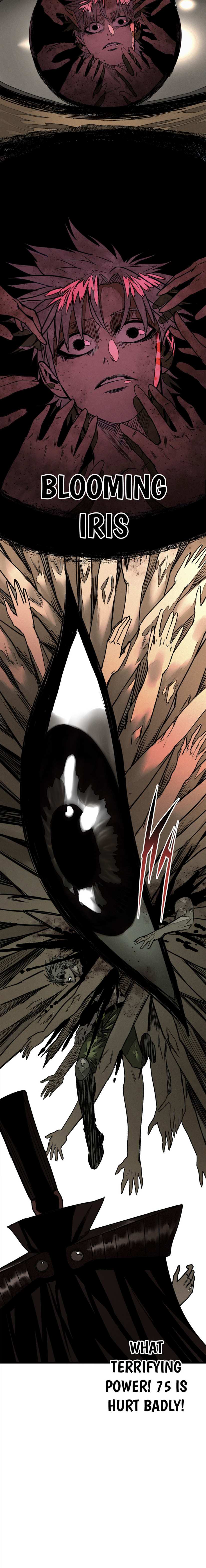 Page 5 of Chapter 38