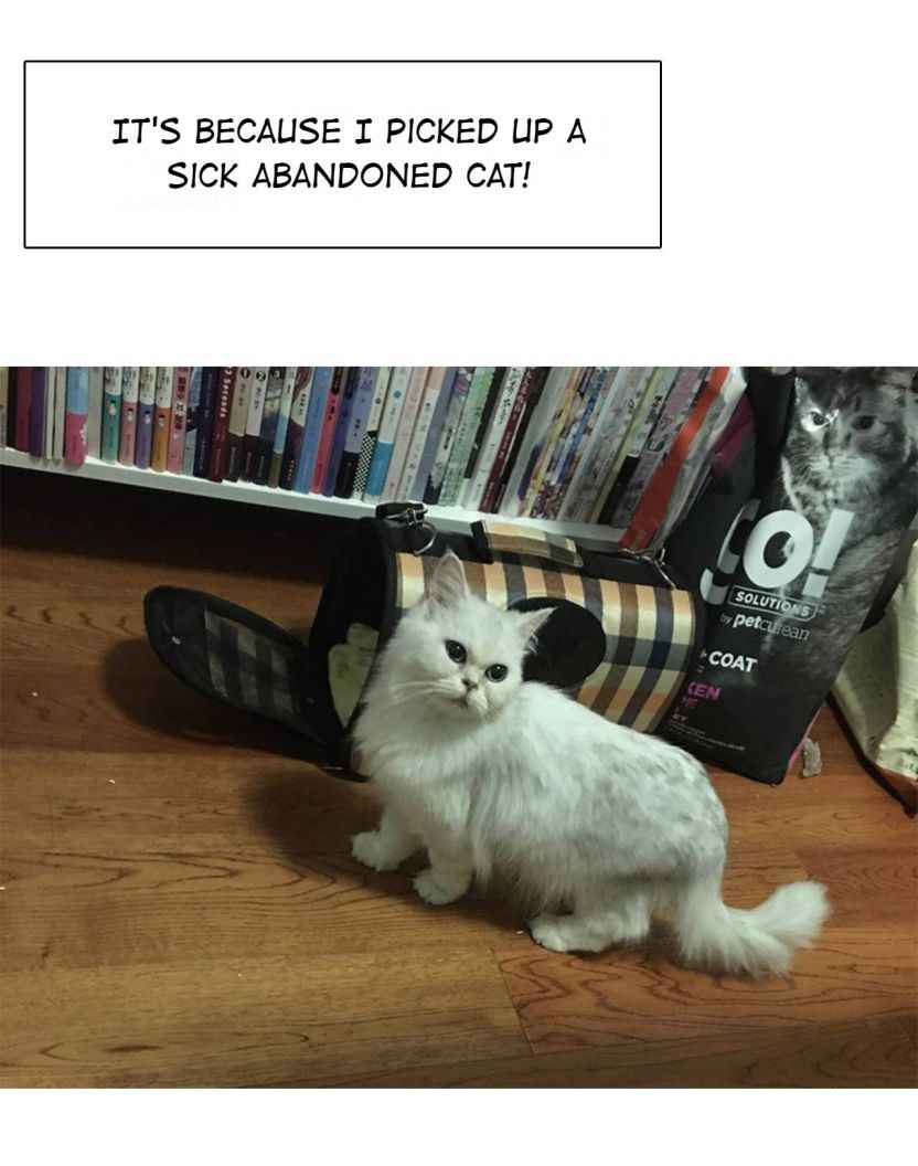 Page 49 of Chapter 14