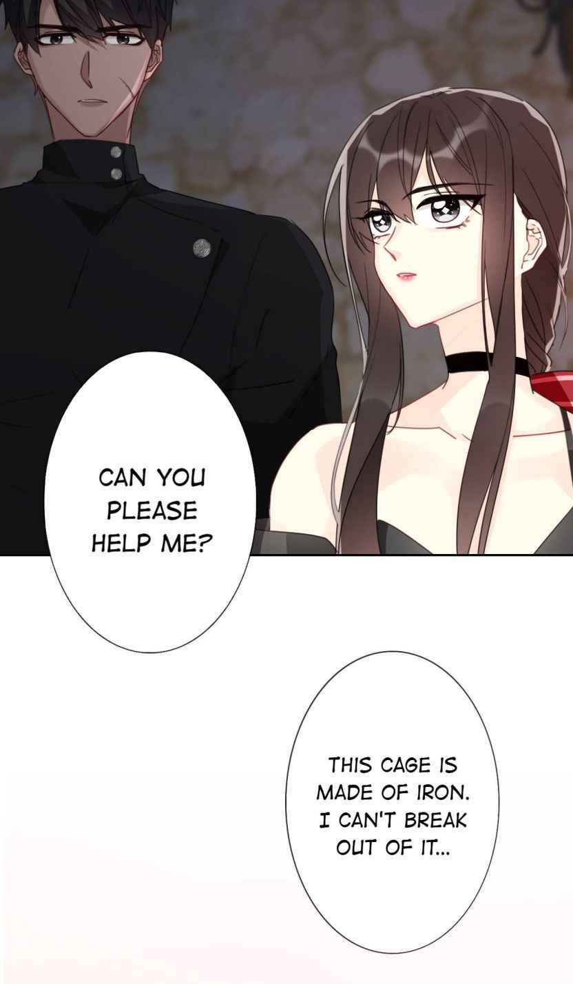 Page 4 of Chapter 19