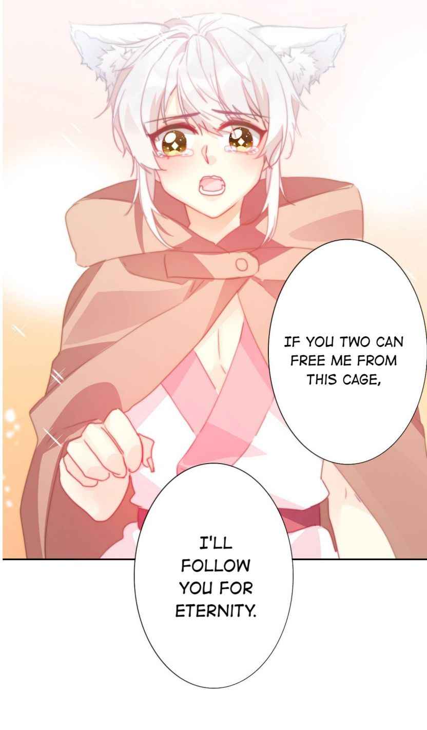Page 5 of Chapter 19
