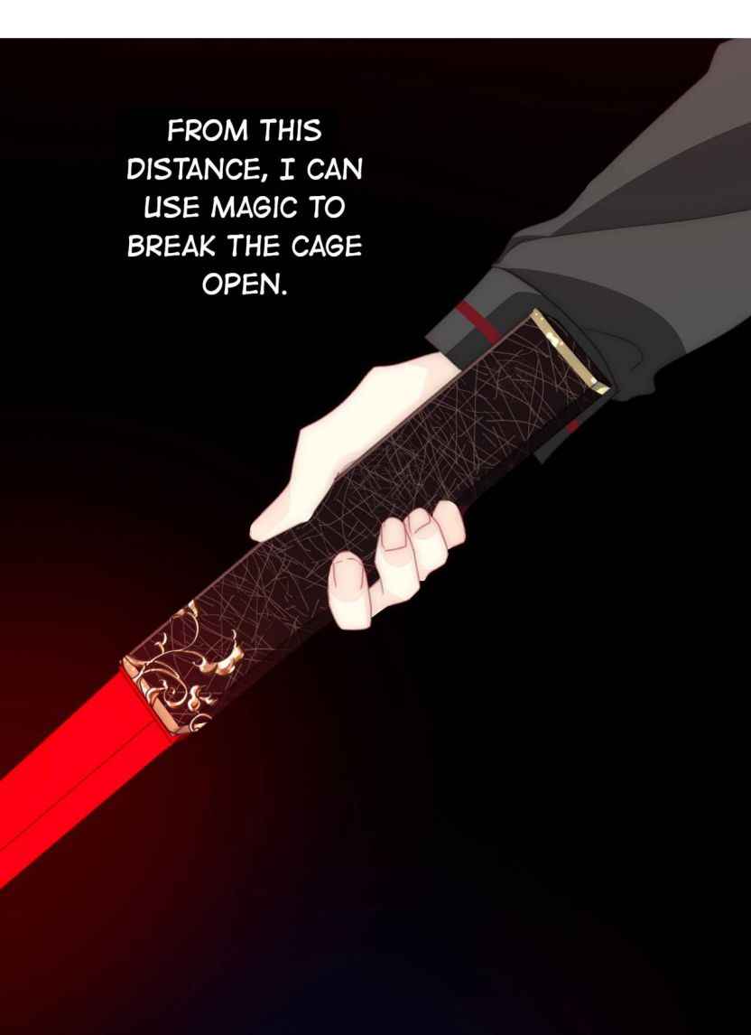 Page 13 of Chapter 19