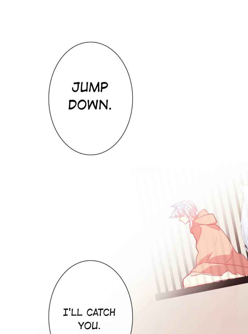 Page 24 of Chapter 19