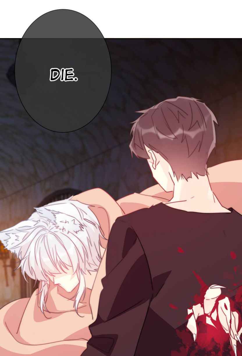 Page 43 of Chapter 20
