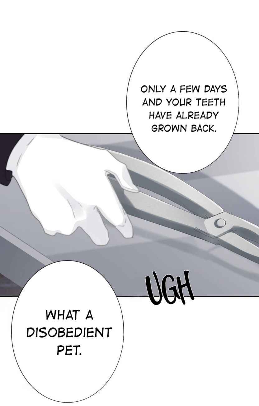 Page 54 of Chapter 21