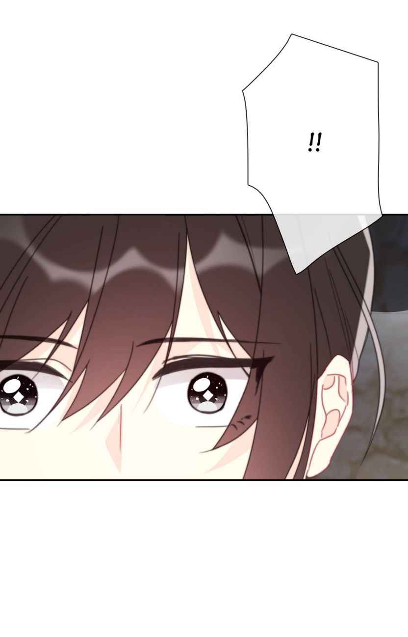 Page 44 of Chapter 25