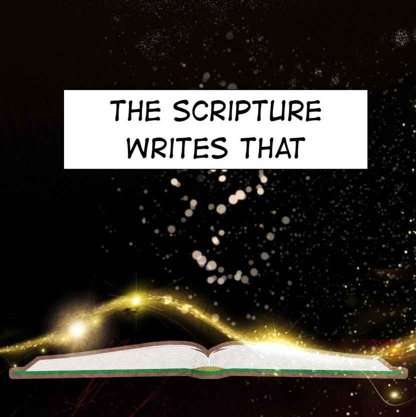 Page 17 of Chapter 50
