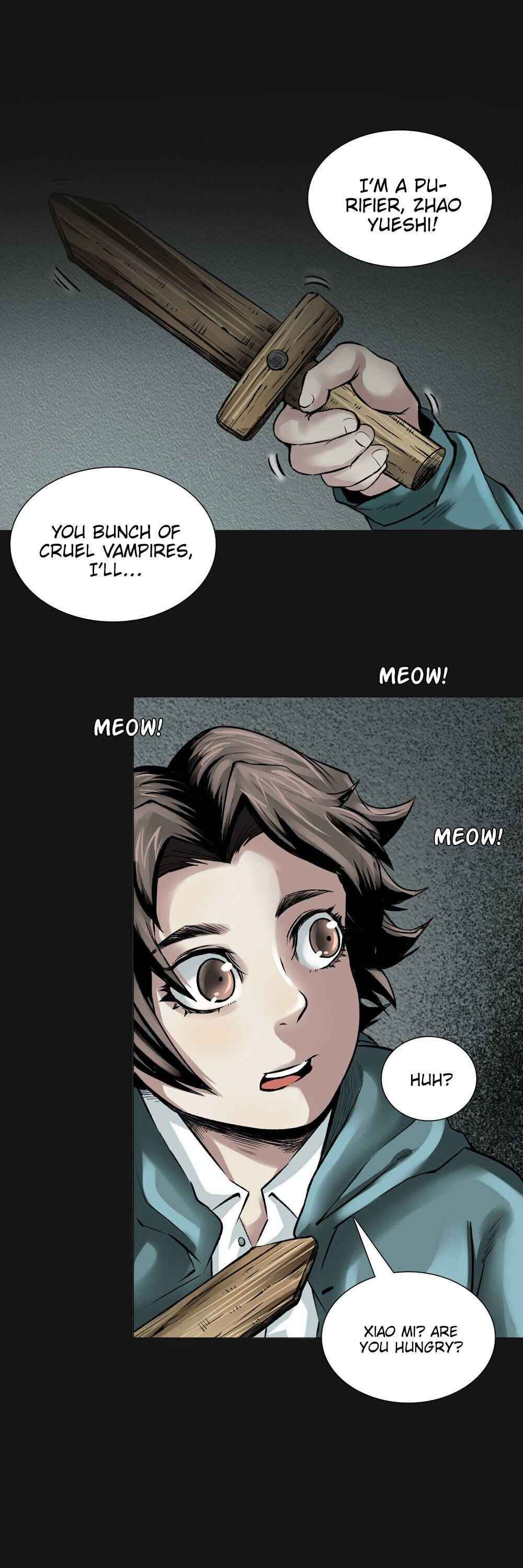Page 13 of Chapter 17