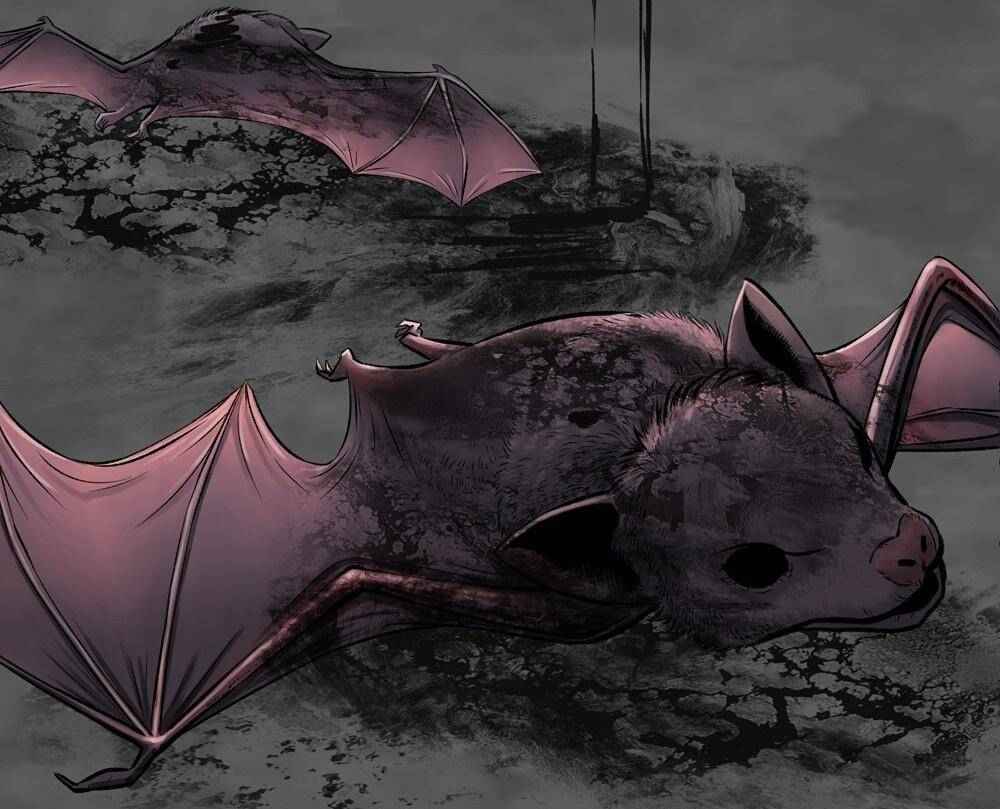 Page 12 of Chapter 38