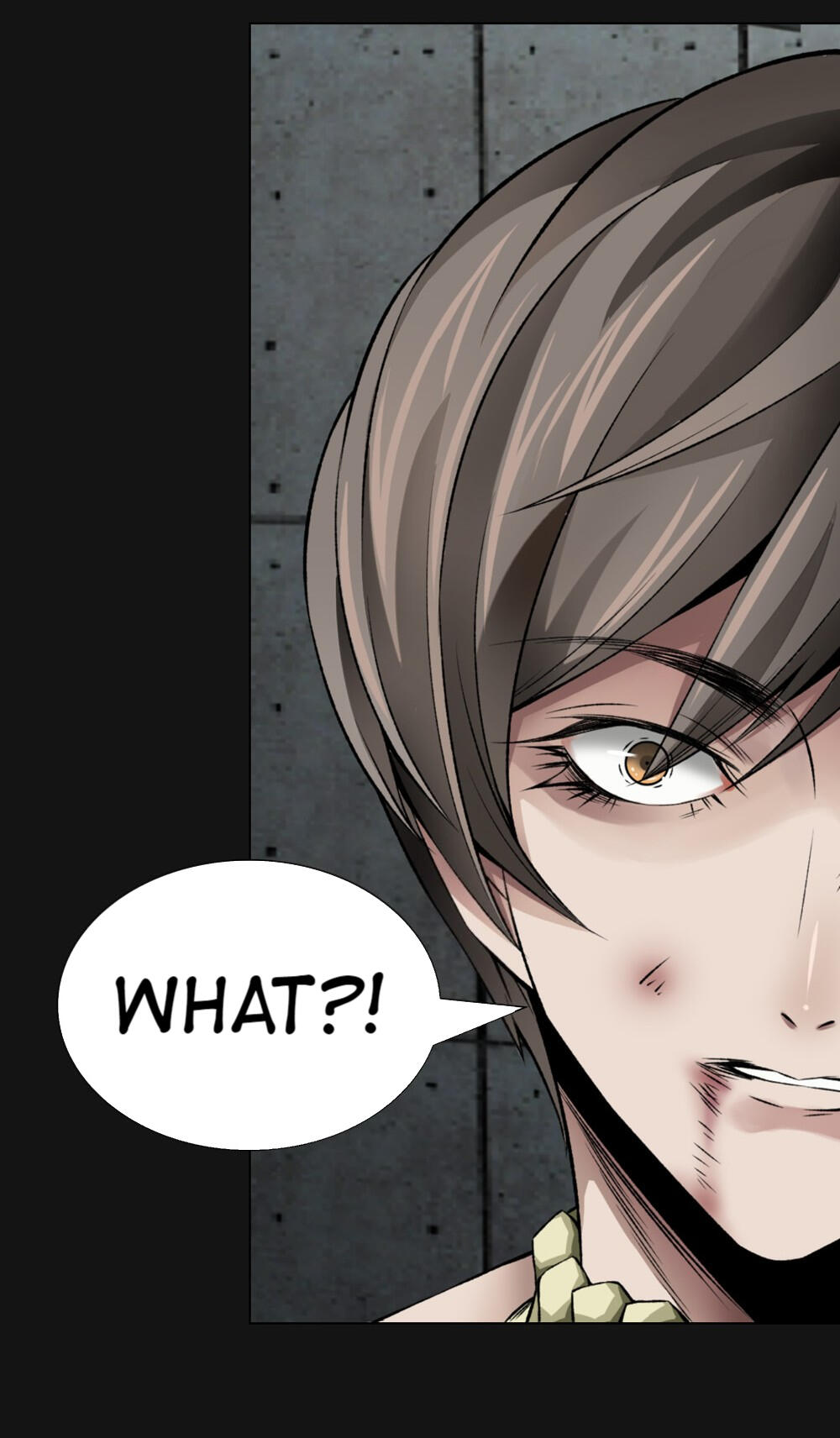 Page 52 of Chapter 53