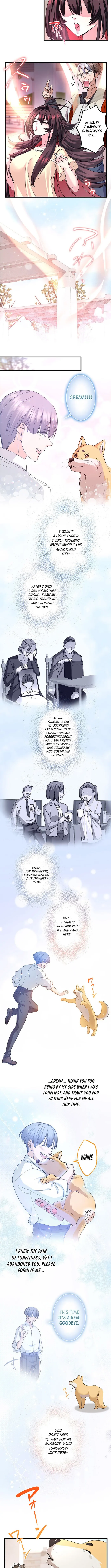 Page 6 of Chapter 17