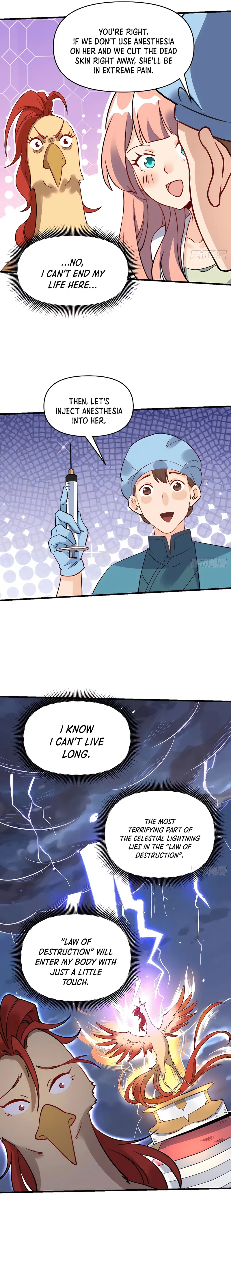 Page 13 of Chapter 155
