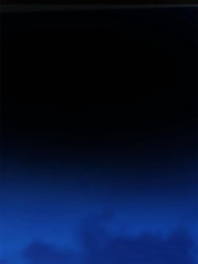 Page 67 of Chapter 356