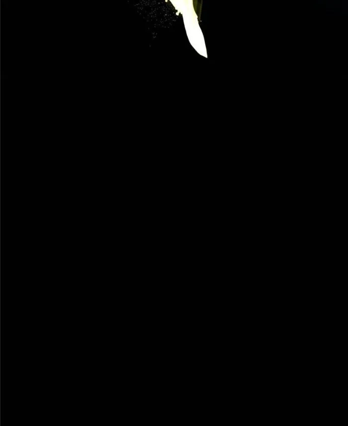 Page 54 of Chapter 386