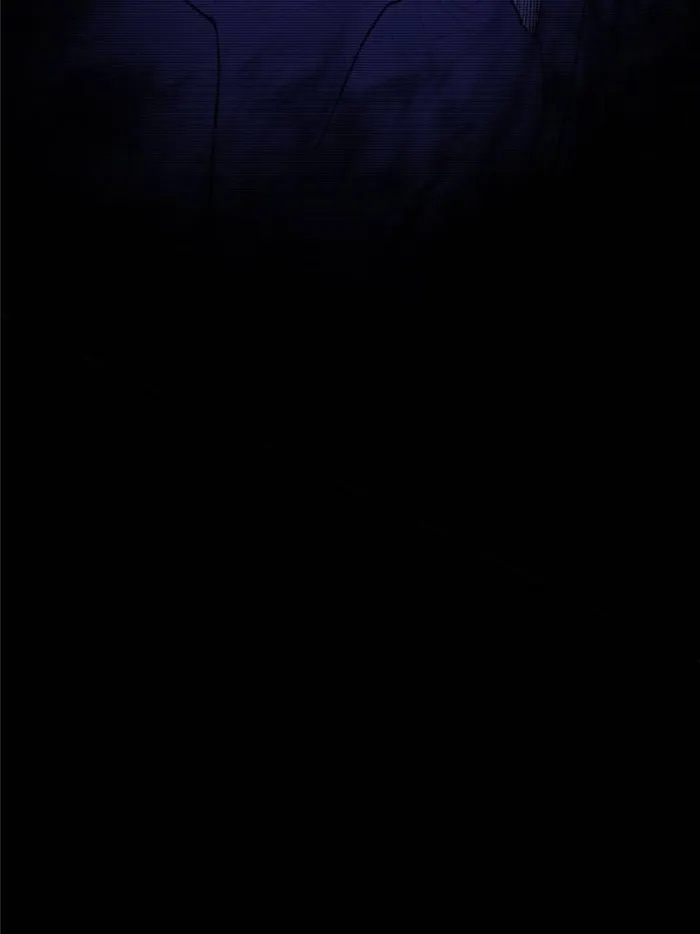 Page 65 of Chapter 393