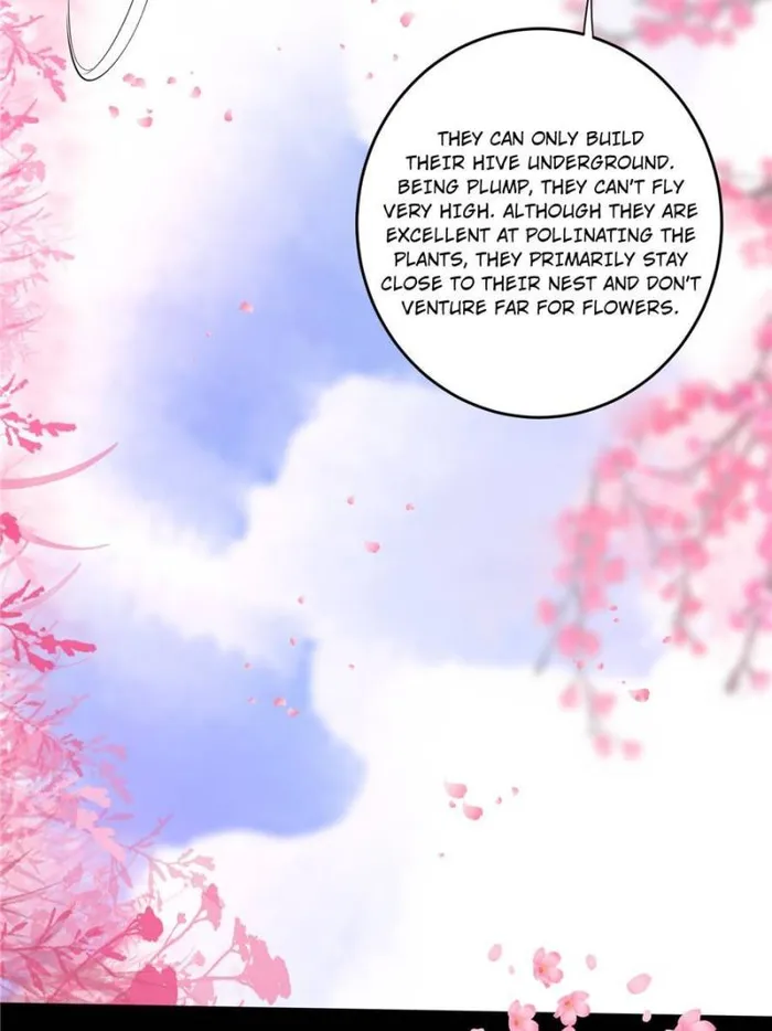 Page 25 of Chapter 425
