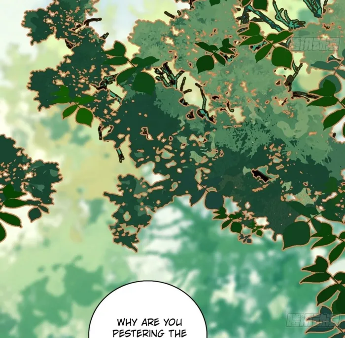 Page 31 of Chapter 564