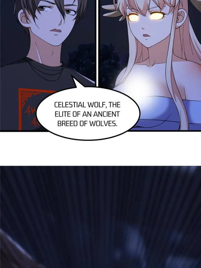 Page 36 of Chapter 367