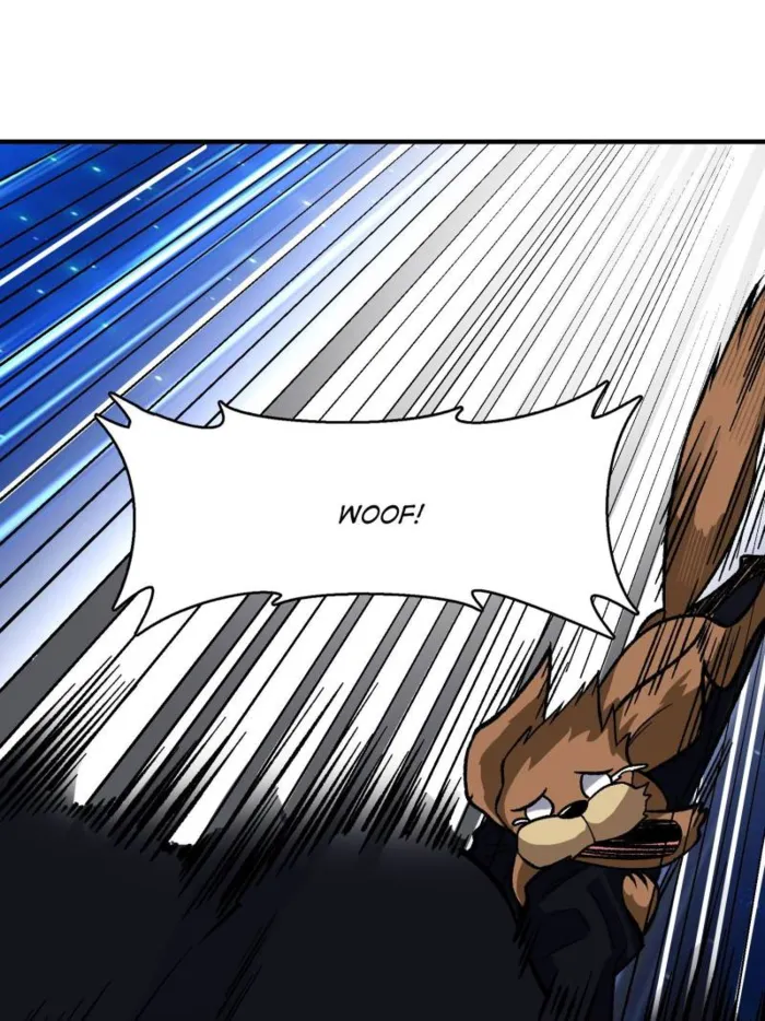 Page 13 of Chapter 226