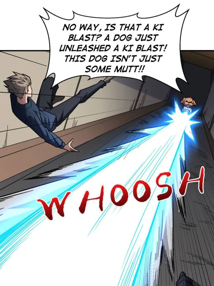Page 13 of Chapter 267