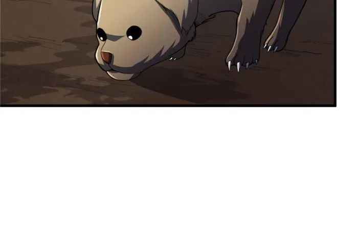 Page 47 of Chapter 68