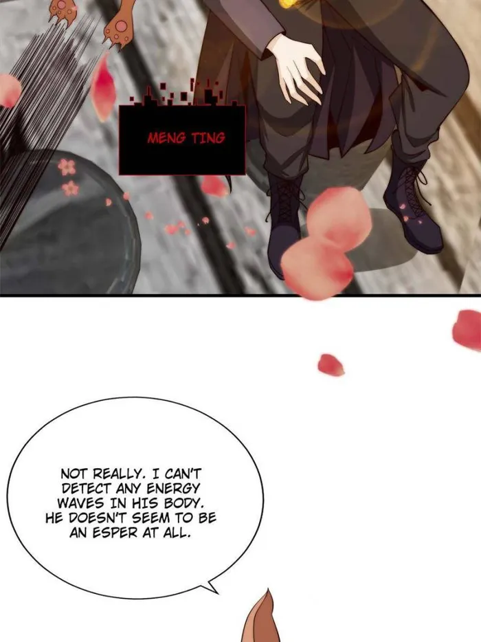 Page 11 of Chapter 40