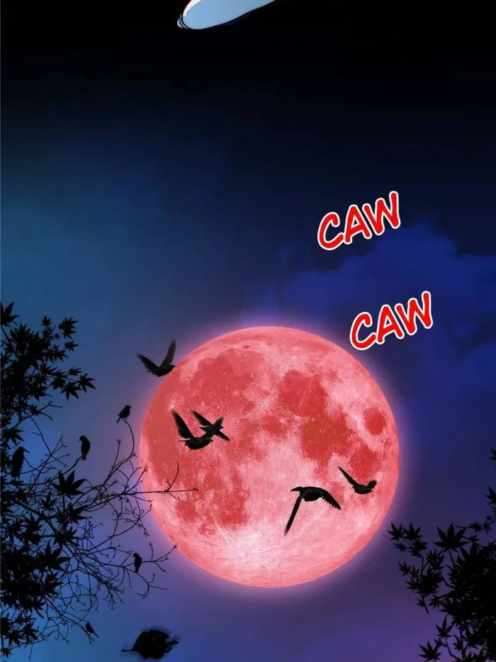 Page 41 of Chapter 43
