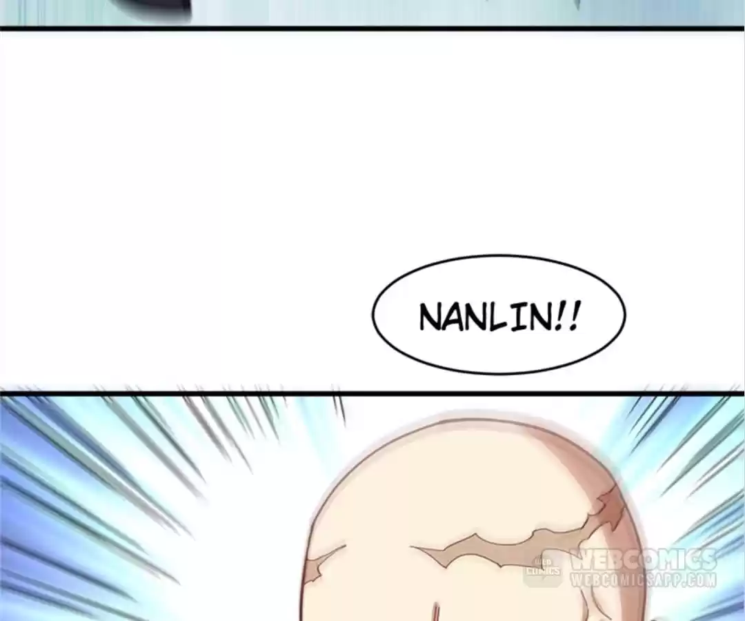 Page 43 of Chapter 146