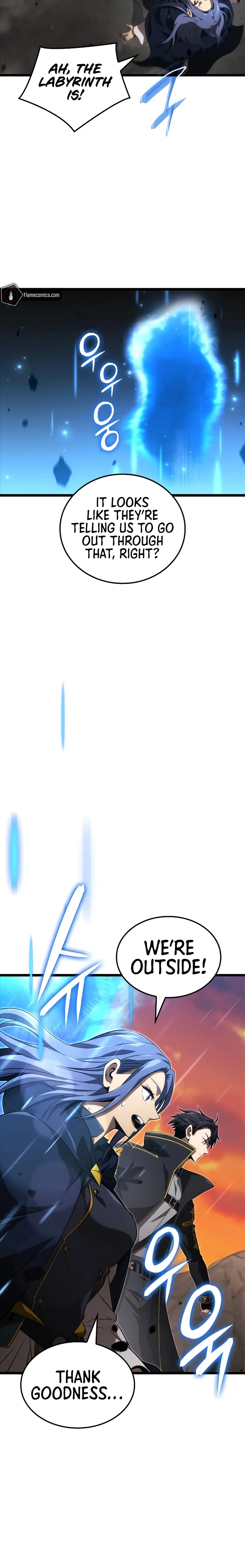 Page 12 of Chapter 17