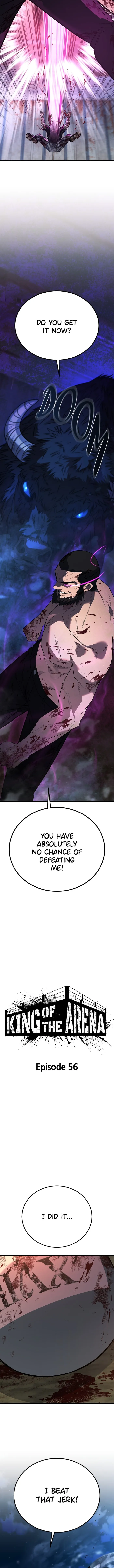 Page 14 of Chapter 56