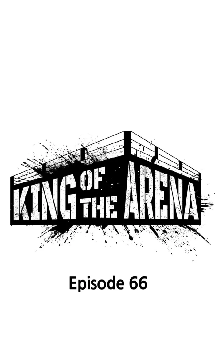 Page 16 of Chapter 66