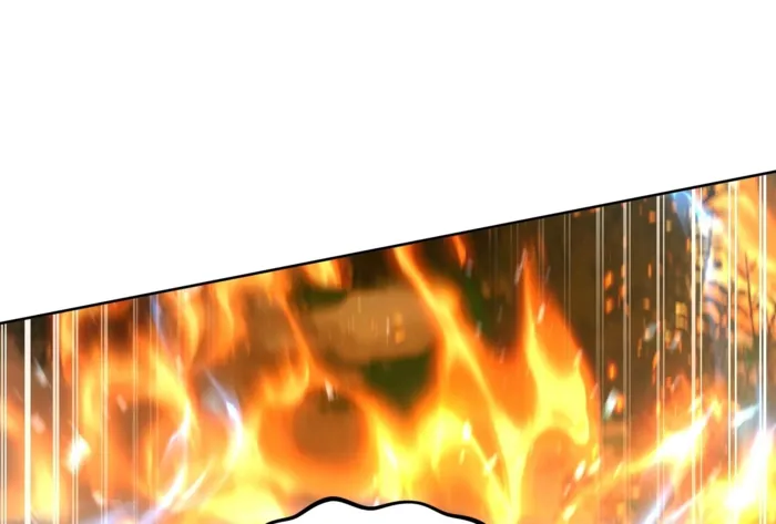 Page 74 of Chapter 20
