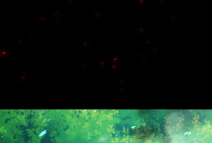 Page 93 of Chapter 28