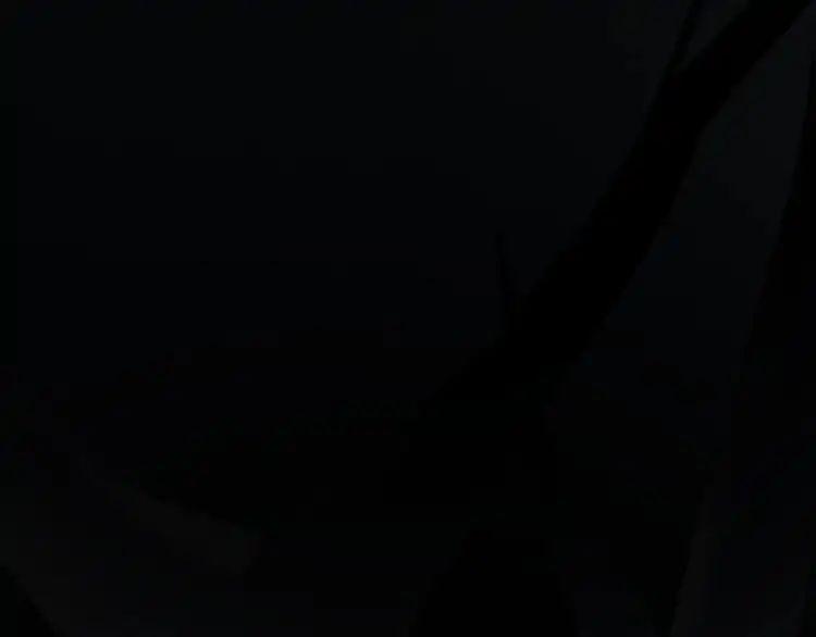 Page 57 of Chapter 4