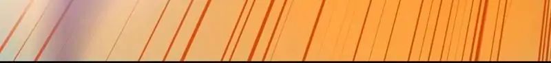 Page 40 of Chapter 19