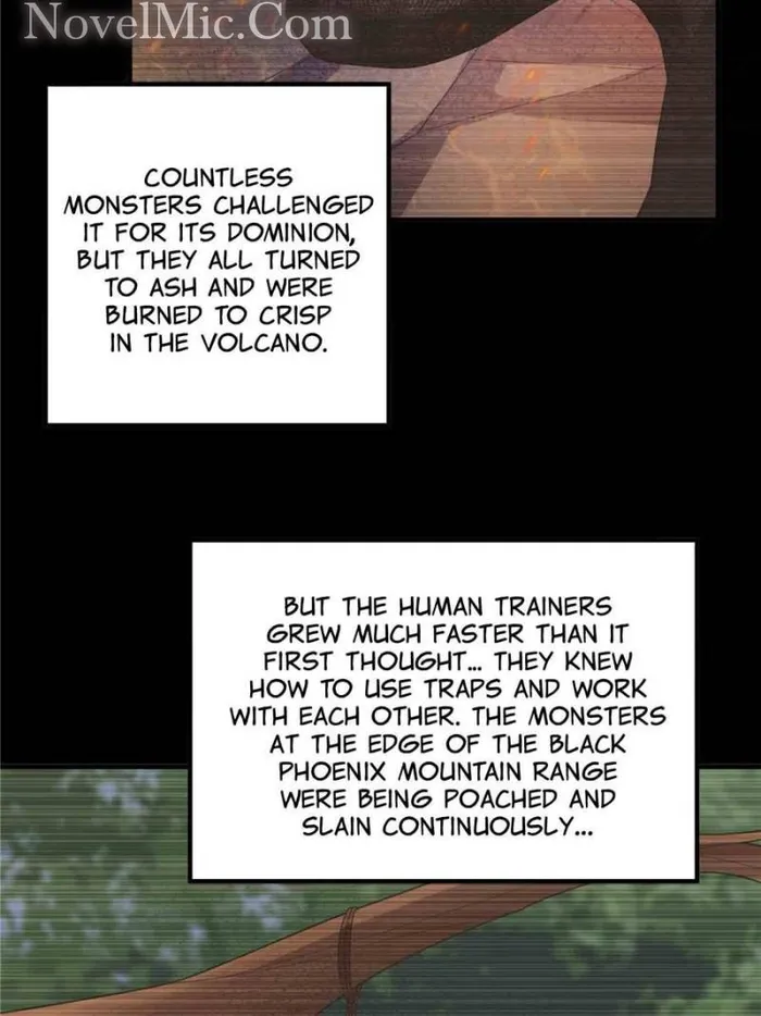 Page 13 of Chapter 219
