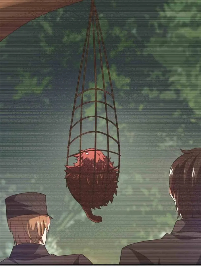 Page 14 of Chapter 219