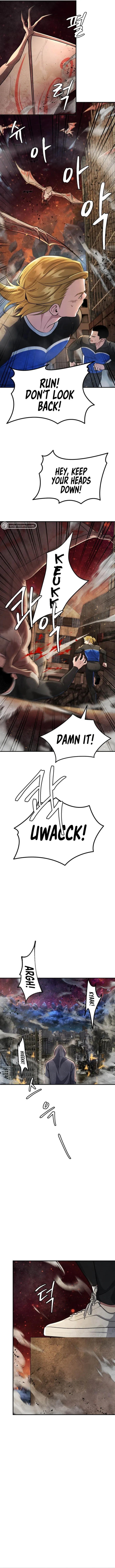 Page 13 of Chapter 49