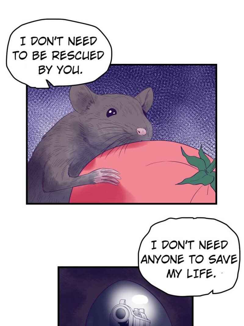 Page 44 of Chapter 11