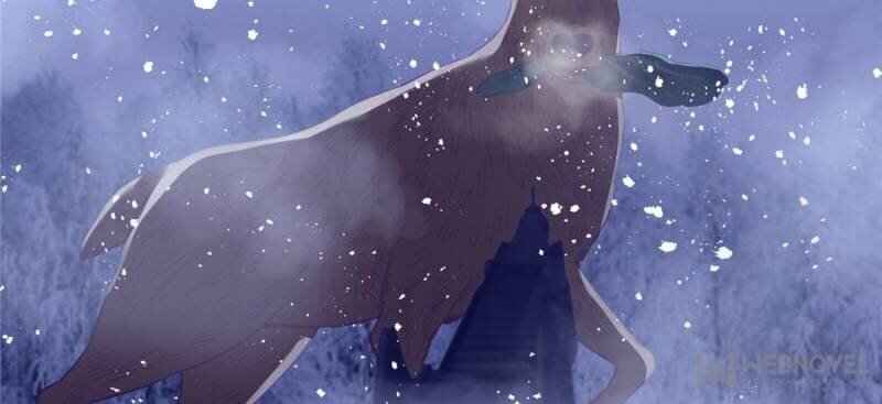 Page 46 of Chapter 11