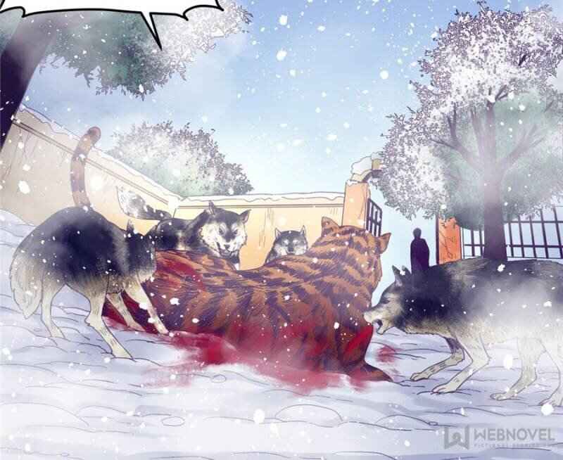 Page 42 of Chapter 14