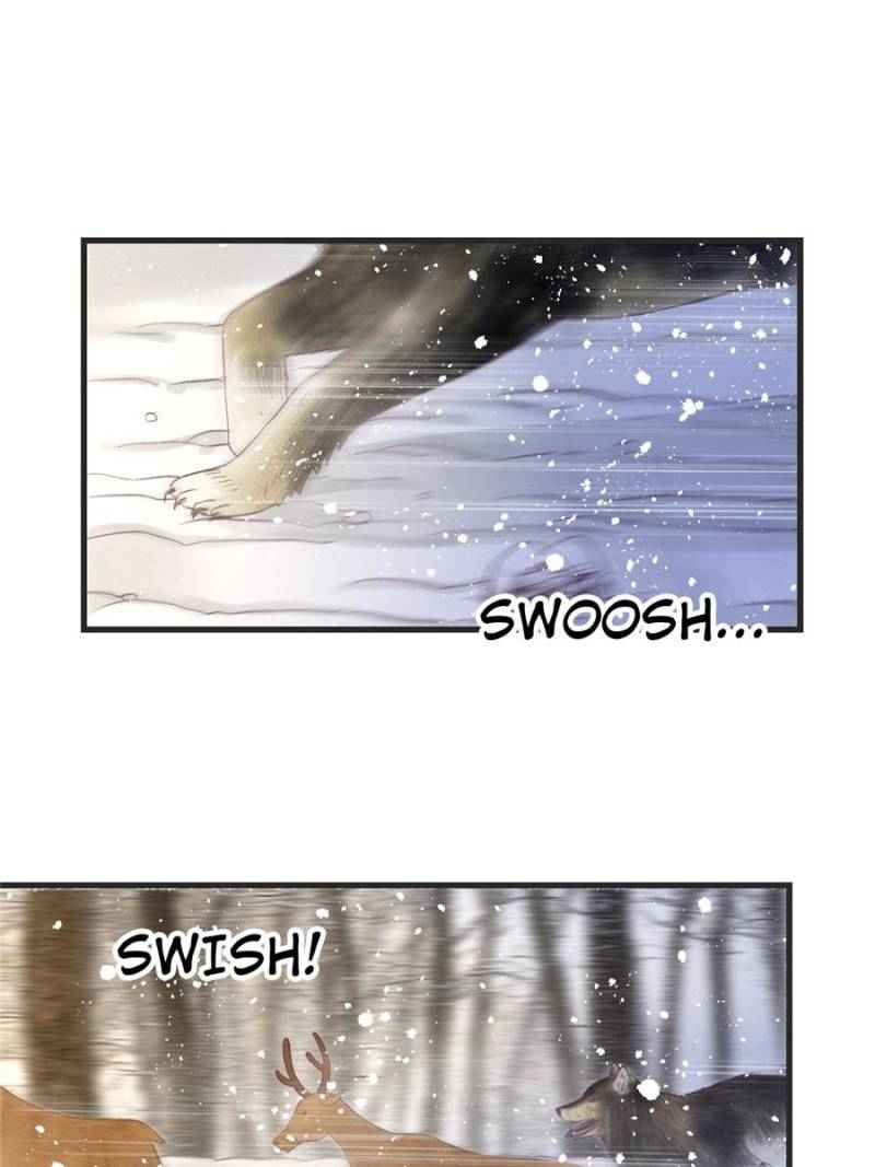 Page 13 of Chapter 15