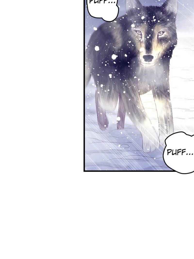 Page 41 of Chapter 15