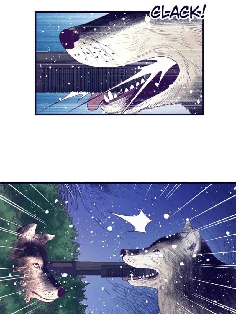 Page 46 of Chapter 15