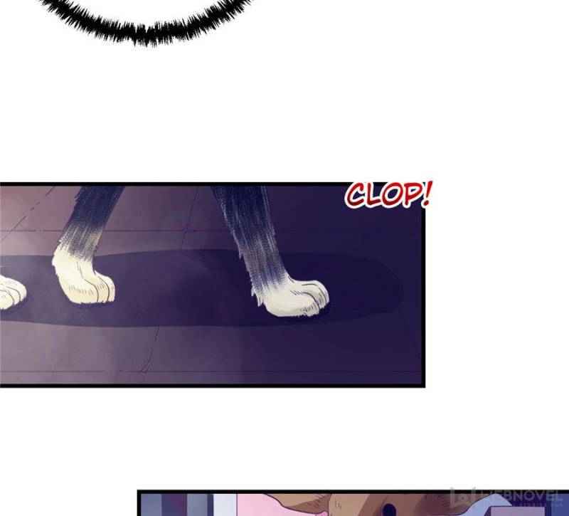Page 8 of Chapter 17