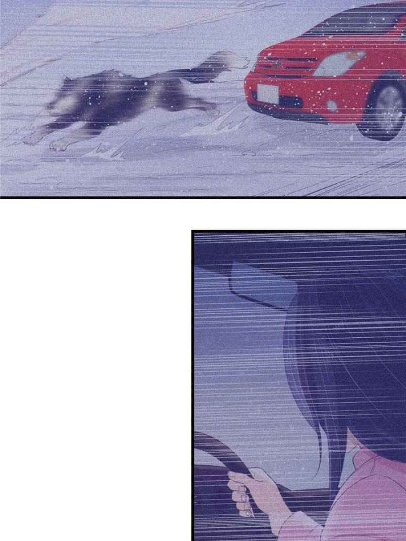 Page 13 of Chapter 19