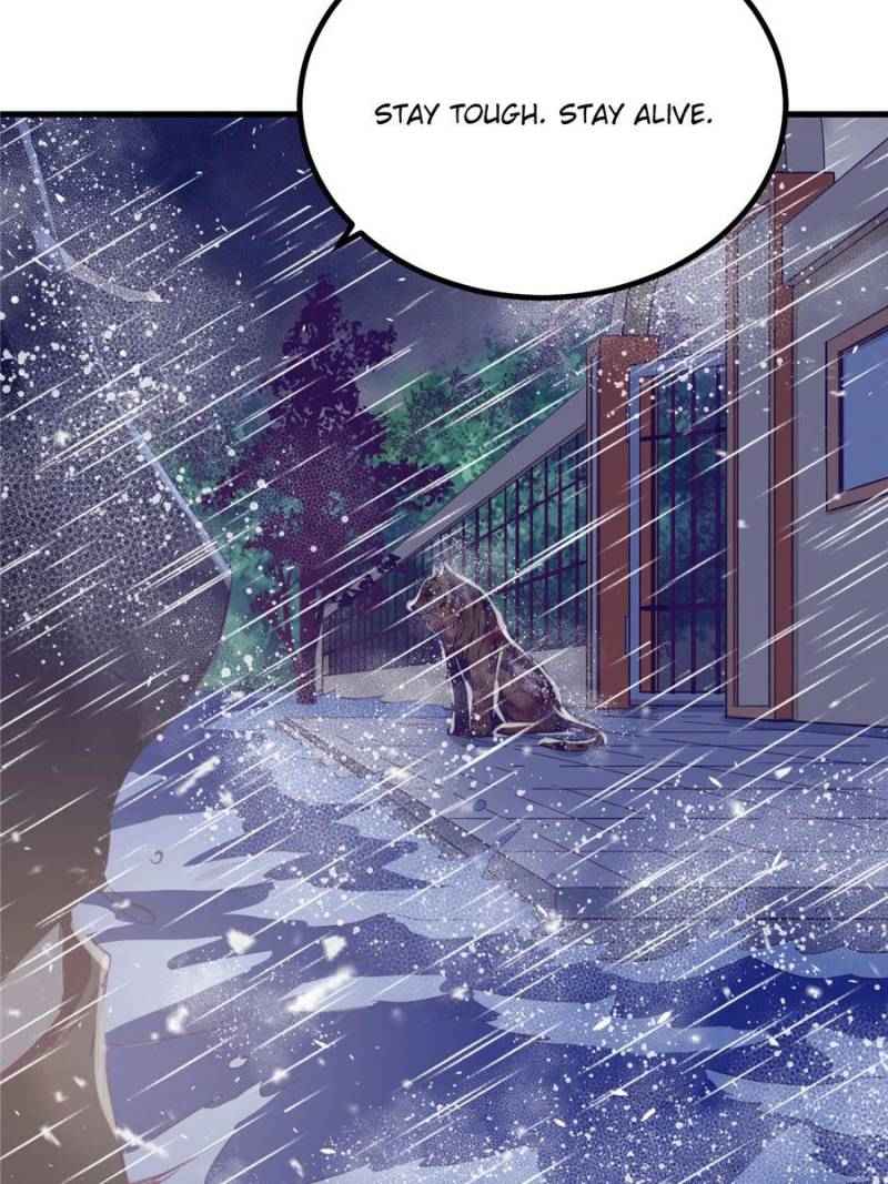 Page 40 of Chapter 6