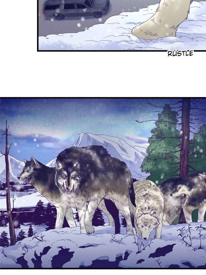 Page 44 of Chapter 7