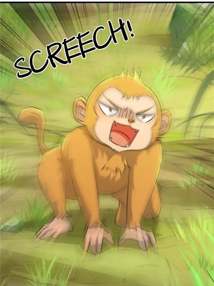 Page 17 of Chapter 213