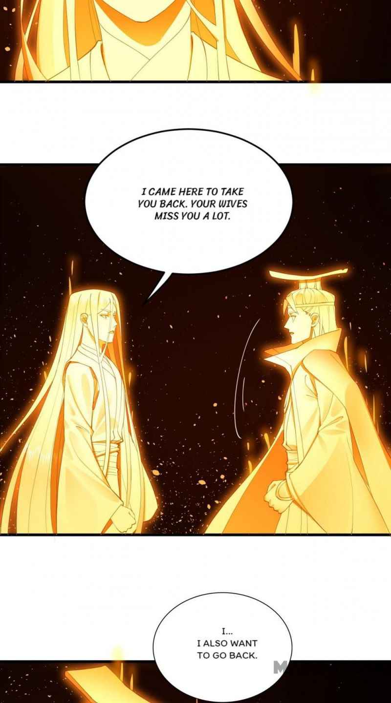 Page 43 of Chapter 252